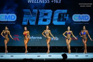 WELLNESS +163